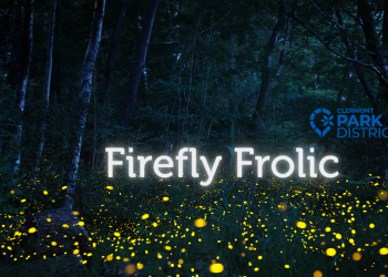 Firefly frolic